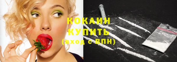 эйфоретик Елизово