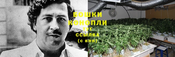 прущий лед Ельня