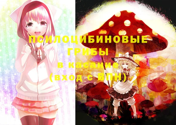 прущий лед Ельня