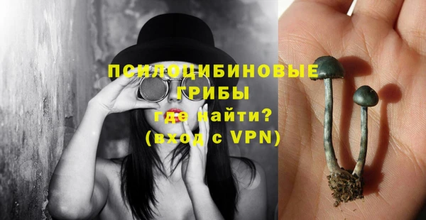 прущий лед Ельня